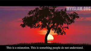 Ada dua kalimat (dzikir) yang ringan diucapkan di lidah, (tapi) berat (n besar pahalanya). Astaghfirullah Wa Atubu Ilaih Learn About This Powerful Dhikr