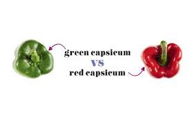 Image result for Capsicum