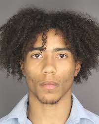 ROARK, DANIELLE JEAN Charges: HOLD FOR SEVIER COUNTY-FTA-THEFT THEFT OF  MERCHANDISE