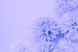 Maybe you would like to learn more about one of these? Beautiful Abstract Color Blue And Purple Flowers On White Background And Blue Flower Frame And Pink Leaves Texture Light Purple Stock Image Image Of Flowers Blue 169370139