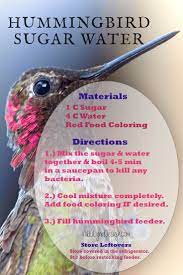 How To Get Hummingbirds To Nest By You Nikki Lynn Design Humming Bird Feeders Sugar Water For Hummingbirds Hummingbird Nectar Recipe