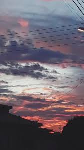 Pin By Sarah Biasuzzo On Sunsets Sky Aesthetic Sunset Iphone Wallpaper Tree Sunset Wallpaper