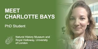 Charlotte Bays's Instagram, Twitter & Facebook