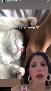 #greenscreen joe and benjamin button are so cute together. #taylorswift  #taylorsversion #viral #joealwyn #taylorswiftcats #cats #benji #foryou  #fypage @taylorswift