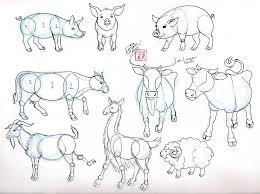 Draw Pig Cow Goat And Sheep By Diana Huang On Deviantart Elephant Drawing Animal Drawings Animal Sketches