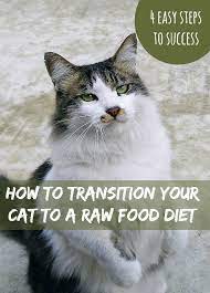 A Raw Food Diet Has Many Benefits For Cats We Outline Four Stages To Successfully Transition Your Cat From The 24 Raw Food Diet Raw Food Recipes Raw Pet Food