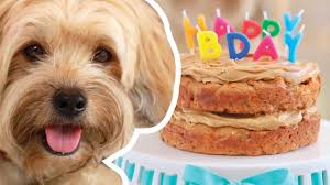 This dog birthday cake recipe will make a small 6 inch cake, but we still wouldn't recommend giving the entire cake to your pup. Dog Birthday Cake Recipe For Your Furry Friend Bigger Bolder Baking