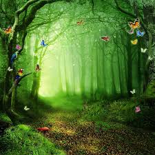 Feel free to send us your own wallpaper and we will consider adding it to appropriate. Photo Backdrop Forest 6x8ft Photo Backdrop Vinyl Alice In Wonderland Photo Booth Backdrop Photo Backdrop Wonderland Photography Backdrops Butterfly Green Backgrounds Dreamybackdrop