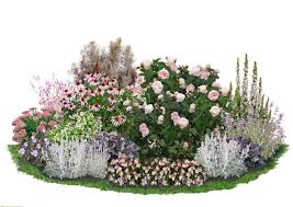 Susser Traum Staudenbeet Pflanzen Blumenbeet Gestalten