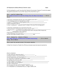 Cells alive meiosis phase worksheet answers. Cell Reproduction Meiosis Mitosis Internet Lesson Name