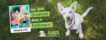 Safe haven animal rescue aka share has one goal in mind, save the unwanted. Alberta Animal Rescue Crew Society Aarcs Facebook