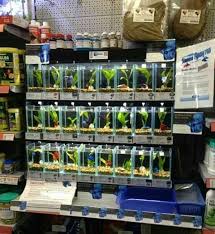 I Wish Pet Stores Sold Betas This Way They Look A Lot Brighter And Healthier Betta Fish Care Betta Betta Fish Tank