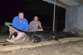 Yelp is a fun and easy way to find, recommend and talk about what's great and not so great in philadelphia and beyond. Huge Alligator Sets Two State Records In Mississippi Outdoornews