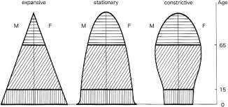Number of deaths per 1,000. Spatial Association Of Population Pyramids Across Europe The Application Of Symbolic Data Cluster Analysis And Join Count Tests Sciencedirect