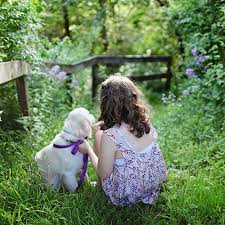 Send flowers to show your sympathy. 5 Types Of Pet Friendly Flowers