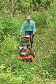 What is the average cost of land clearing? 5 Tools For Clearing Overgrown Land Homesteading And Livestock Mother Earth News