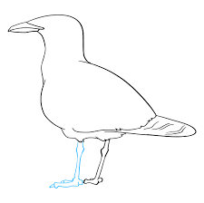 Want to discover art related to seagle? How To Draw A Seagull Really Easy Drawing Tutorial