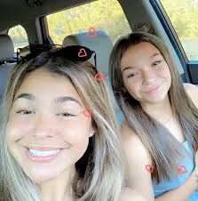 What are good vet clinics in Portales?