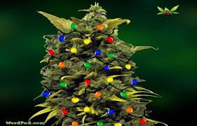 Check spelling or type a new query. Free Download Christmas Weed Wallpaper Hd Weed Wallpapers 780x500 For Your Desktop Mobile Tablet Explore 38 Funny Marijuana Wallpapers Stoner Wallpapers For Phone Funny Weed Wallpaper Marijuana Hd Wallpaper