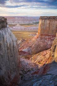 Image result for Light Canyon Red 1990 Tracer