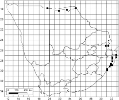 Image result for Tinospora fragosa