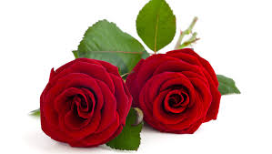 Maybe you would like to learn more about one of these? Save On Last Minute Valentine S Day Gifts