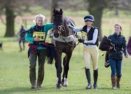 Belsay hall, castle and 30 acres of gardens are open to the public and managed by english heritage.the surrounding grade 1 listed parkland that is the venue for the horse trials, is maintained by the belsay trust. Looking Back At The 2017 Fei Belton International Horse Trials The Gaitpost
