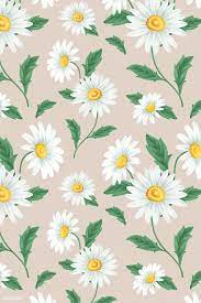 Pin On Daisy Flower