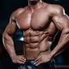 This is a table of skeletal muscles of the human anatomy. 1