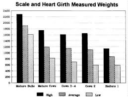 chart black bears diet gbpusdchart com