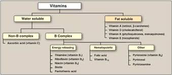 Vitamins Integration Of Metabolism Lippincotts
