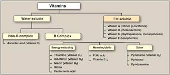 vitamins integration of metabolism lippincotts