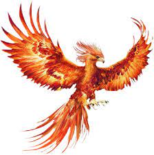 Phoenix animal phoenix images birds tattoo phoenix tattoo feminine phoenix bird tattoos mythical birds phoenix tattoo phoenix art phoenix artwork. Harry Potter Fenix Google Search Fenix Google Harry Harrypotterphoenixtattoo Potter Phoenix Bird Tattoos Mythical Birds Phoenix Animal