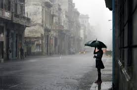 Kết quả hình ảnh cho đợi một ngày mưa
