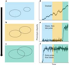 Tempo And Timing Of Ecological Trait Divergence In Bird Speciation Nature Ecology Evolution