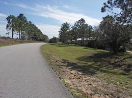 Maybe you would like to learn more about one of these? Lake Louisa State Park Florida Bike Hike E Z Map Photos