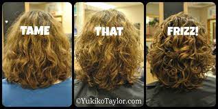 Dry hair = more moisture in = frizz central. Frizz Is An Anomaly For Most People It Is The Difference Between A Good Day And A Bad Day For Curlie Frizzy Wavy Hair Taming Curly Hair Tame Frizzy Curly Hair
