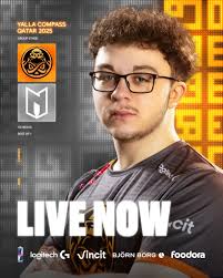 SC2 || HomeStory Cup 20th anniversary event at the Tropical Islands is  LIVE! 🥳🌴 Serral begins his matches tomorrow at 18:00 EET, but you can  catch him already today