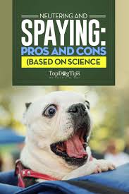 Pros and cons of having a dog. Pros And Cons Of Neutering Or Spaying Your Dog Backed By Science