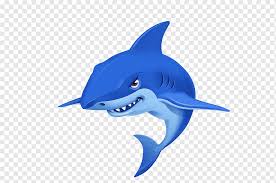 People interested in ikan paus png also searched for. Ikan Paus Biru Kartun Hewan Png Pngwing