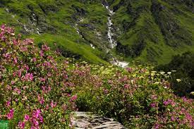 Sonamarg valley, kashmir (image source: Valley Of Flowers Trek 2021 Himalaya Trekkers Ht Treks