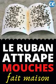 Comment Fabriquer Un Ruban Attrape Mouches Efficace Et Naturel En 2020 Attrape Mouche Maison Astuces Pour Les Mouches Attrape Mouche