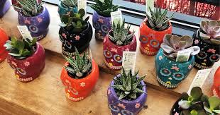 If you aren't already a lover of all things trader joe's, that's about to change. Day Of The Dead Succulents Only 3 99 At Trader Joe S Hip2save