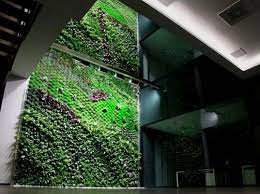 Spain S Largest Vertical Garden Cleans Air Inside Office Building Vertical Garden Indoor Vertical Garden Design Vertical Garden
