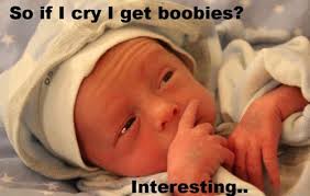 Baby images tgif pictures funny baby quotes. Baby Meme The Top 25 Funniest On The Interwebs