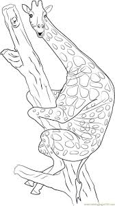 Funny Giraffe Coloring Pages In 2020 Giraffe Coloring Pages Love Coloring Pages Animal Coloring Pages
