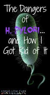 Pylori, is a type of bacteria that infects the stomach and small bowel. The Dangers Of H Pylori And How I Got Rid Of It Holistically Engineered