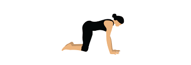 The gluteus maximus is one of the most important muscles in the body, and keeping it strong can help support the lower back. Using Pilates To Ease Stress During Isolation St John St Elizabeth Hospital
