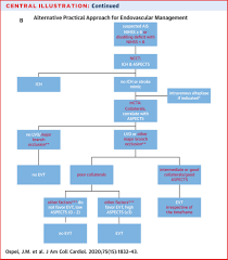 Image result for CVA Management