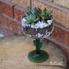 *originally published in december 2016, last updated in december 2020. Succulents In A Cactus Glass